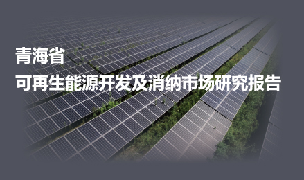 青海省可再生能源开发及消纳市场研究报告